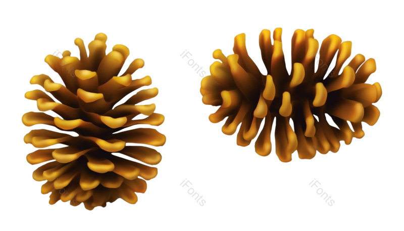 装饰图片,种子元素,新年卡PNG,闪亮免抠素材